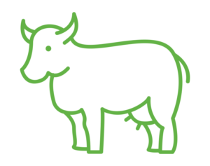 Beef